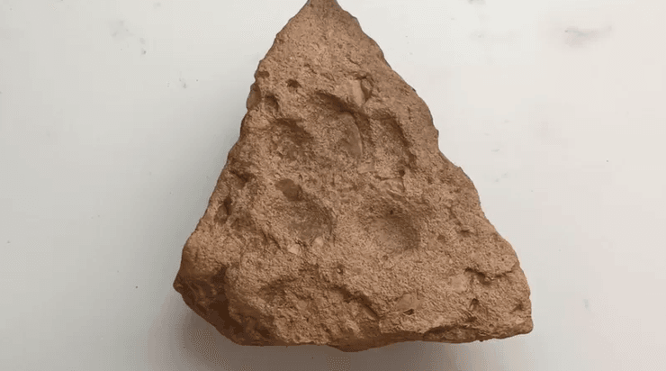 Британия, раскопки, археологи, археология, захоронения, находки, поселения, исследования, история, жизнь, территория, артефакт