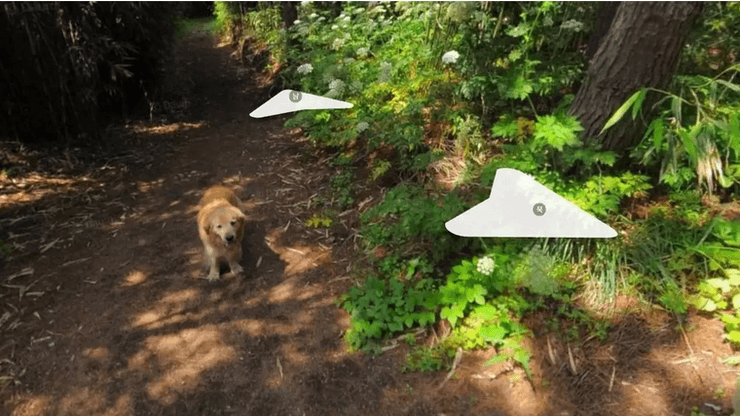 Собака слідував за фотографом Google Maps і з'явився в більш ніж у 1000 місцях