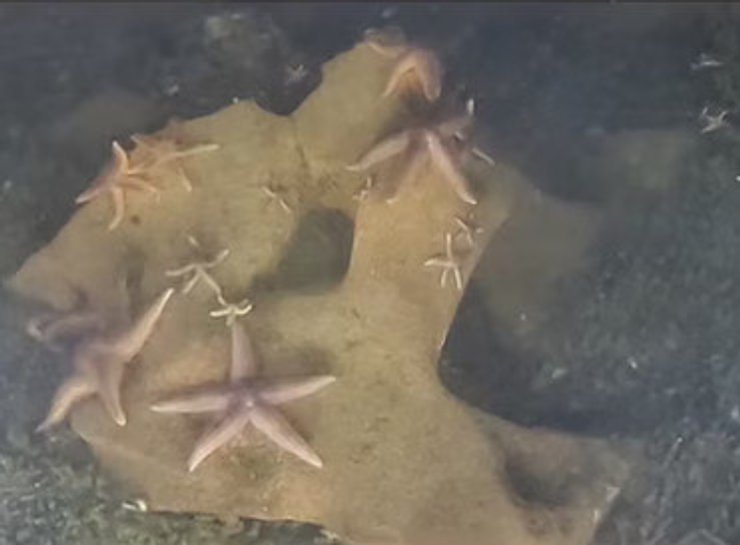 Матеріали досліджень