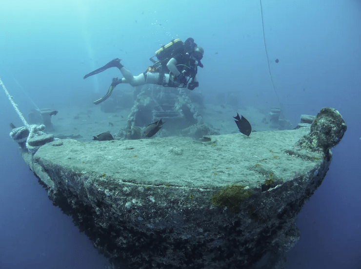 затонувший корабль, вторая мировая война, риф, коралловый риф, исследование, красное море