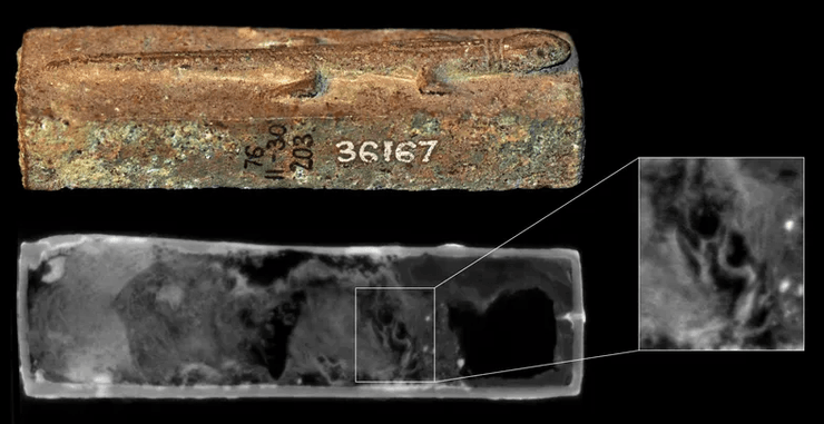 Древнеегипетские медные саркофаги, мумифицированные ящерицы, нейтронная томография, Британский музей, мумии животных, древнеегипетская культура, древние люди, древние животные, древний египет, археология, история