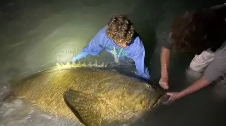 Риболовля, рибина, рекорд, США, курйози, школяр, рідкісна риба, фото