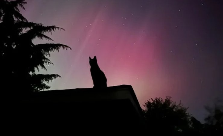 Полярне сяйво