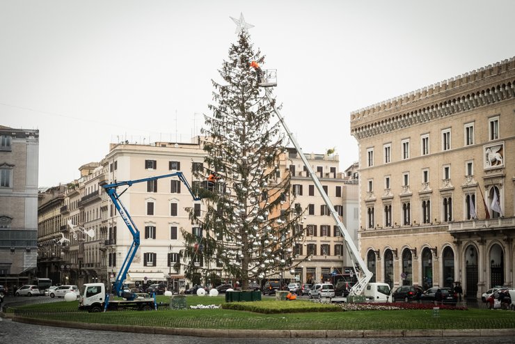 лысая елка, Рим, площадь Венеции, Пьяцца Венеция, рождественская елка, демонтаж