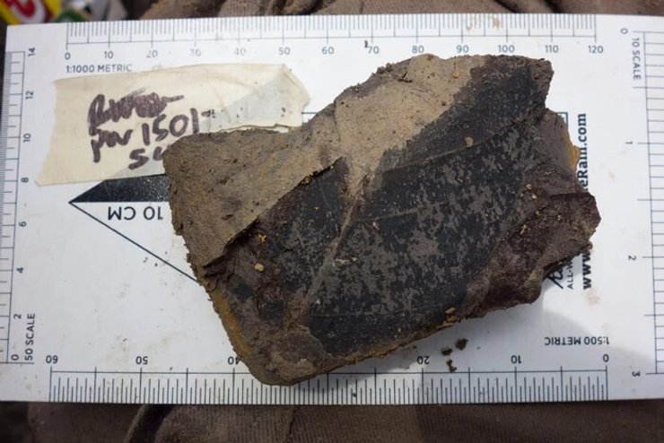 окаменелость, линейка, фото