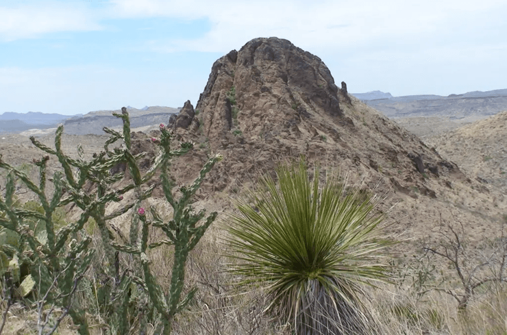 Мужчина потерялся в пустыне, семья потерялась в пустыне, пил из лужи, ел головастиков, под палящим солнцем, нашел воду,