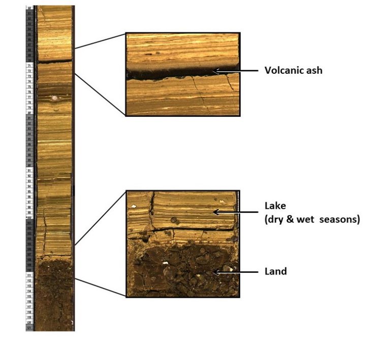 эволюция человека