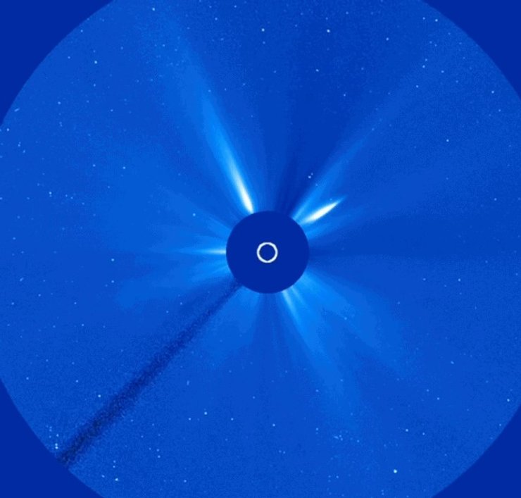 комета C/2026 A1 (MAPS)