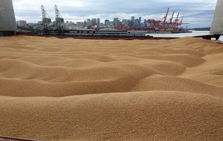 Кілька європейських країн оголосили про ембарго на ввіз українського зерна. Таких країн може стати більше.