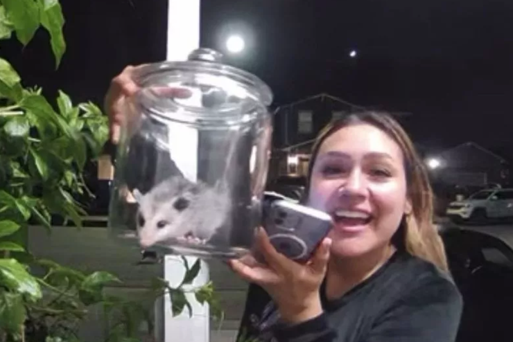 Жінка знайшла в будинку опосума, дикий звір пробрався в оселю американки, курйози з тваринами
