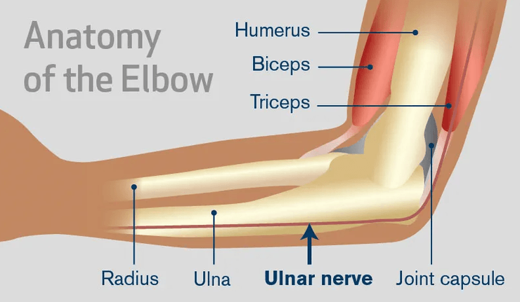 исследование, медицина, боль, нерв, нервы, локоть, удар, боль от удара, травма, боль от травмы, рука, почему болит локоть