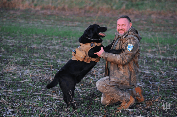 Пес Бумер — антистрес для воїнів