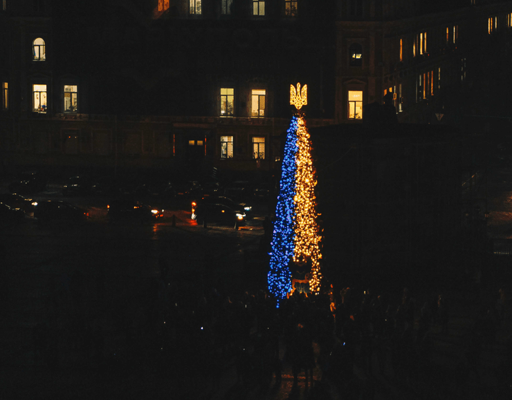 елка киев, новый год, рождество