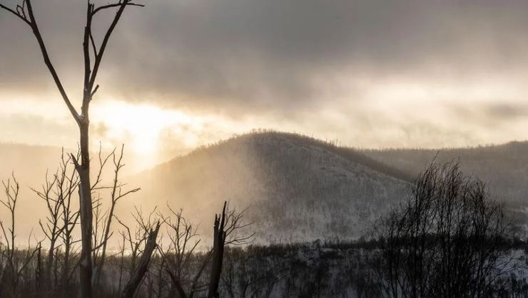 Женщина потерялась в горах и в течение 6 дней выживала в дикой природе, как ей удалось спастись, Австралия