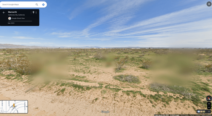 Пустыня, кустарники в пустыне, странный снимок с Google-карт, поразил людей, засекреченные военные кусты, цензура, размытое фото