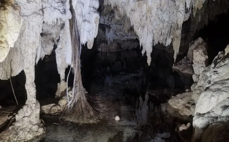 пещера образования мексика май