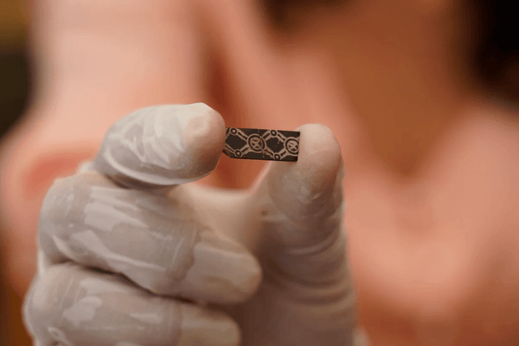 фрагменты слоновой кости, рука, фото