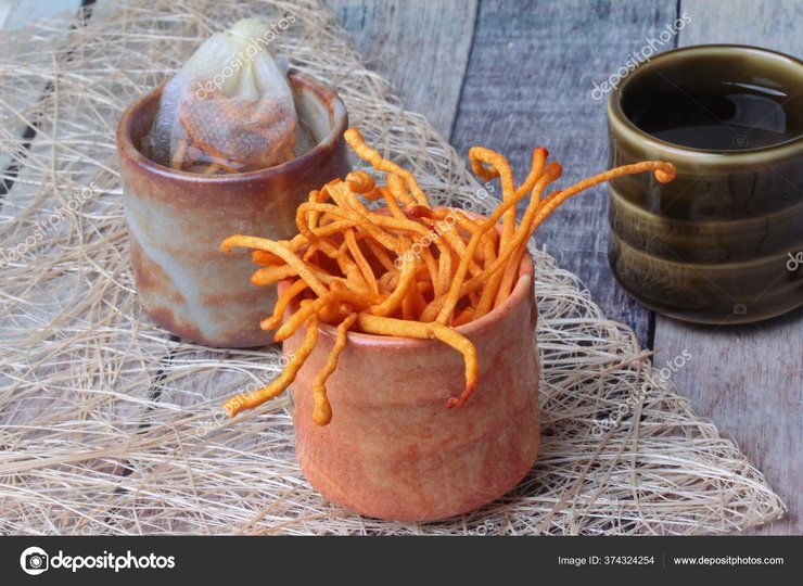 кордицепс, гриб кордицепс, кордицепс медицина, кордицепс комахи, кордицепс гриб мутант, гриби мутанти, серіал одні з нас, кордицепс бад, кордицепс добавка, кордицепс стимулятор