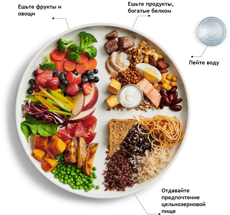 фото, правильное питание, тарелка, рацион на день, пример рациона