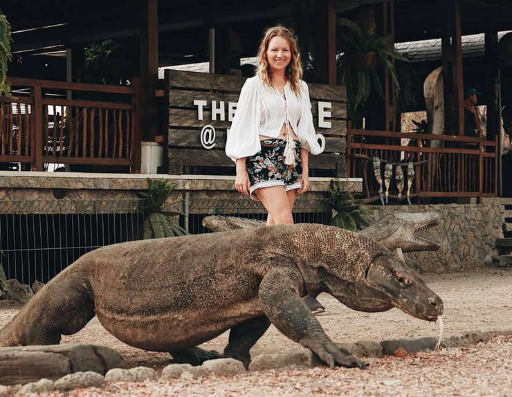 остров комодо, комодский дракон