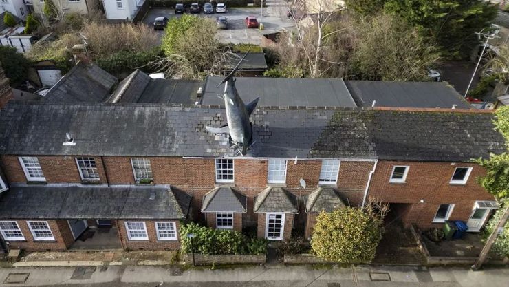 Довгострокова оренда, будинок з акулою на даху, курйози, цікавинки, приколи, дивні історії