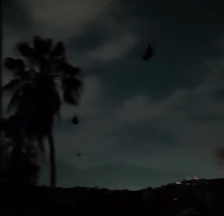 чинуки каракас