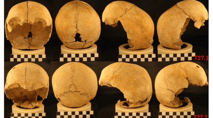 захоронения, останки, захоронения женщины, находка, раскопки