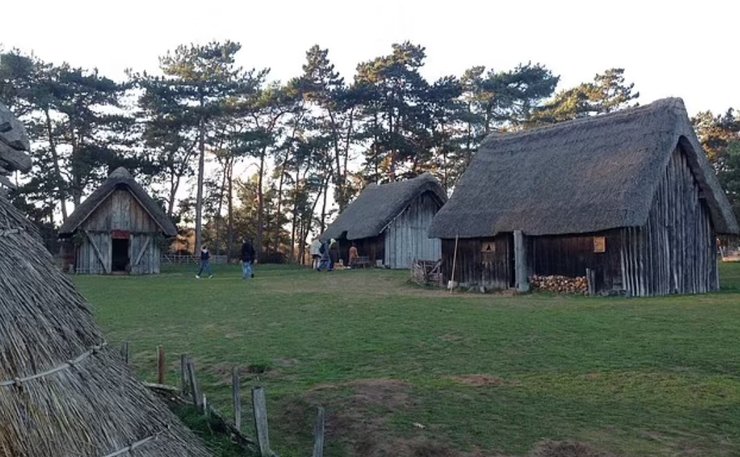 Історики давно припускали, що англосаксонські королі та дворяни їли набагато більше м'яса, ніж решта населення, але нове дослідження показує, що насправді вони споживали багато вегетаріанської їжі