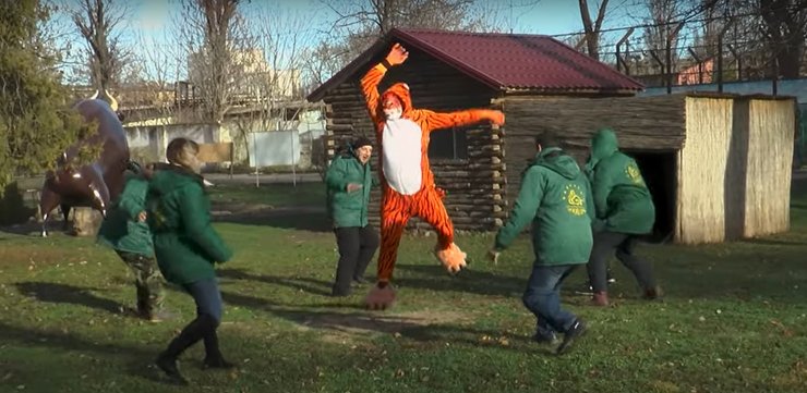 поздоровлення одеського зоопарку, Одеса, зоопарк, Одеський зоопарк, кліп, Новий рік, рік Тигра