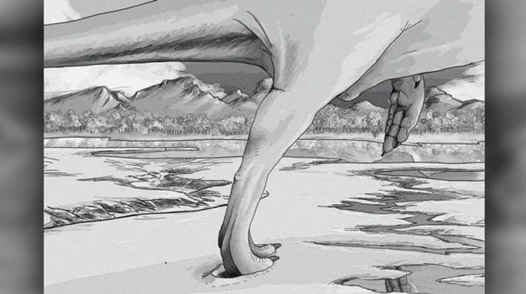 теропод, динозавр, слід