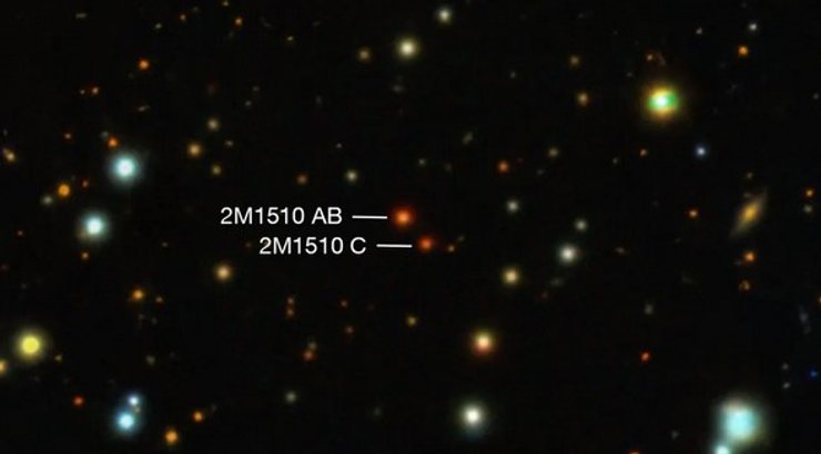 коричневый карлик