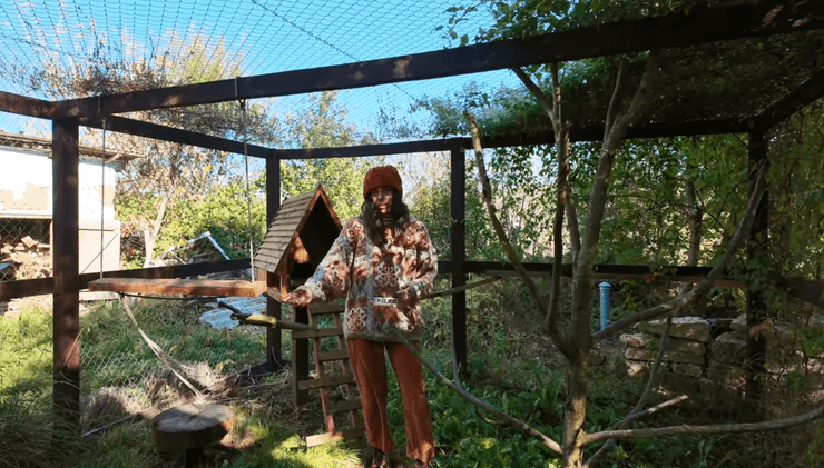 Кошачий вольер