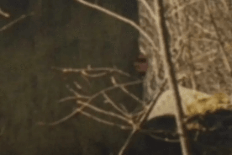 Женщина заметила пугающую деталь на фото, поход в горы, жуткое фото, маленькая деталь на фото, заметили руку на фото,