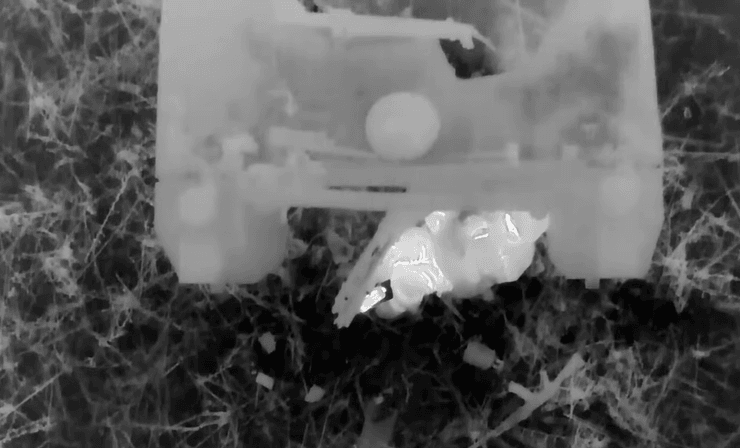 Спасение раненых тепловая сигнатура