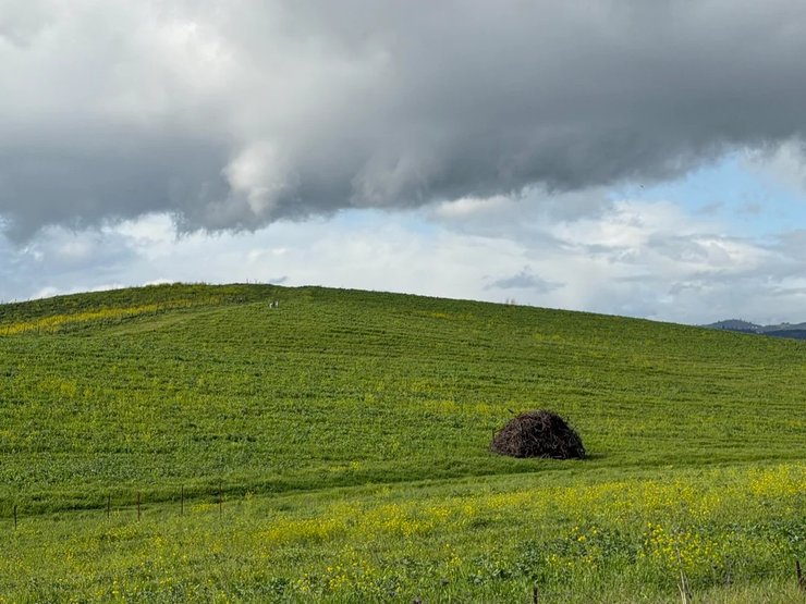 Windows XP Безмятежность 2026 фото обои