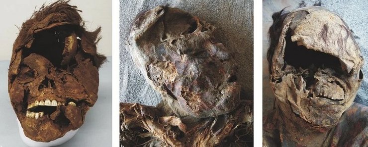 Черепи стародавніх землеробів з пустелі Атакама