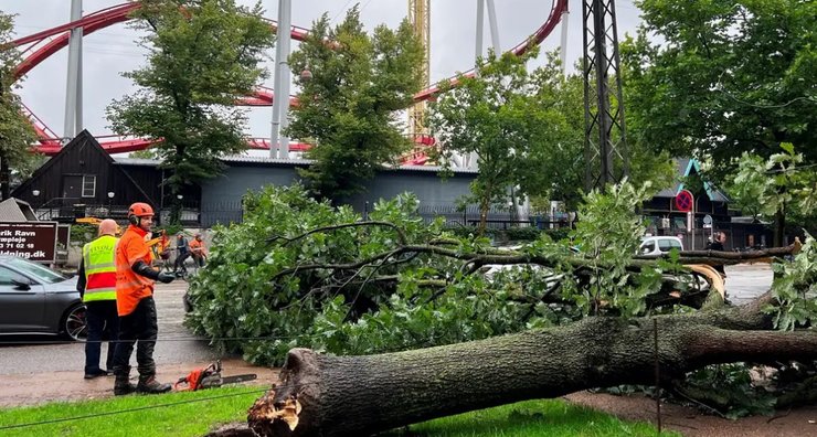 последствия урагана в Дании