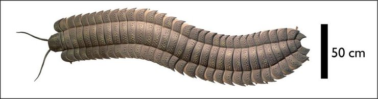 Arthropleura, многоножка