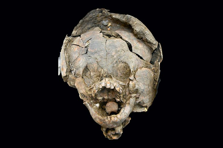 эквадор, младенцы в шлемах из черепов