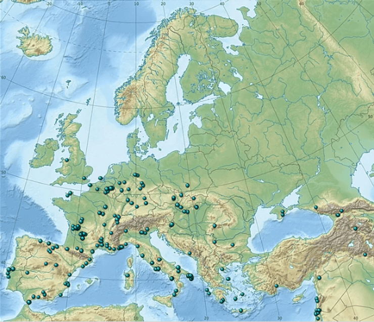 неандертальцы, исследования, история, человечество, извержение, геноцид, технологии, ресурсы, люди, дегуманизация, супервулкан, теория, вымирание, экспансия, общество, поглощение