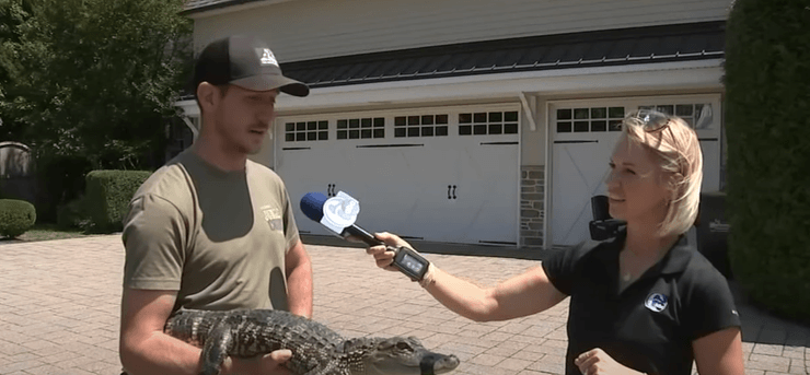 В США рыбак поймал на крючок аллигатора длиной 1,2 метра в озере