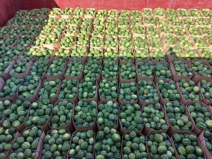 вадатурский, убит вадатурский, вадатруский нибулон, вадатурский агроэкспорт