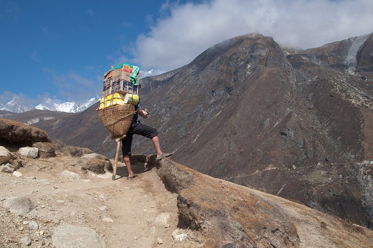 Ген EPAS1 попал от денисовцев