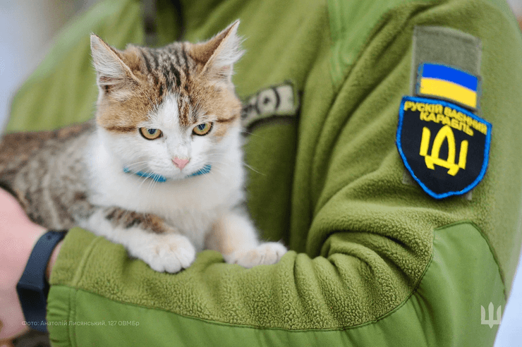 Тварини війни в проєкті Фото з війни