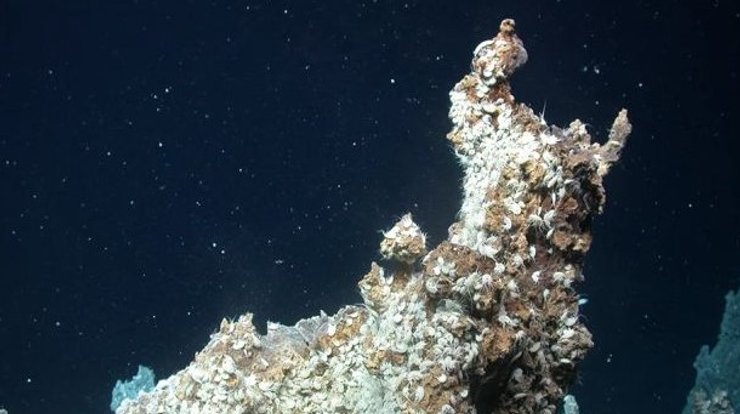 гидротермальный источник