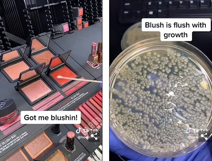 румяна образец