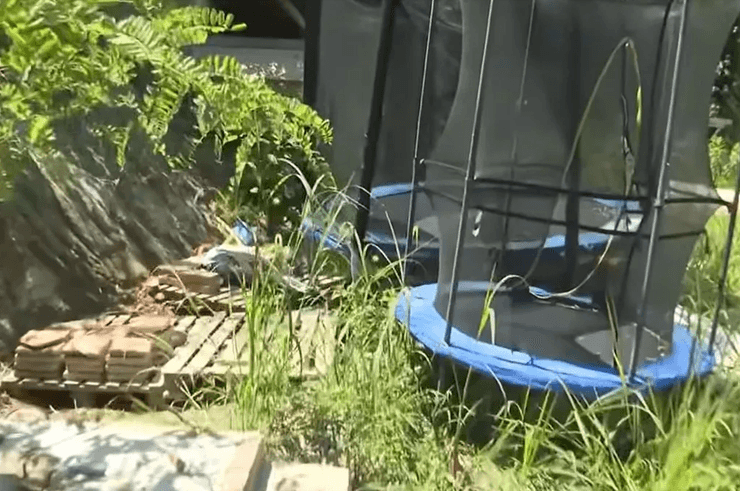 На віддаленій фермі виявили дітей-привидів