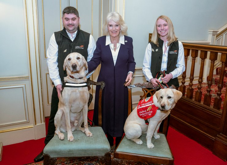 Королева Камілла