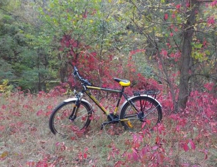 журналист, полиция, Киев, велосипед, кража