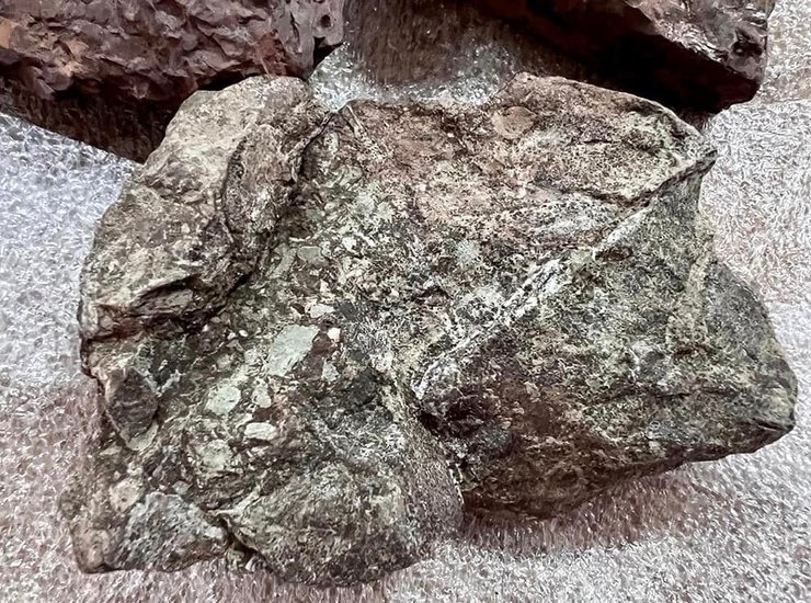 Таможня, Киев, камни, рыбы, девонский период, закон, законодательство, культура, палеонтология, окаменелость, отпечаток, культурная ценность, конфискация, США